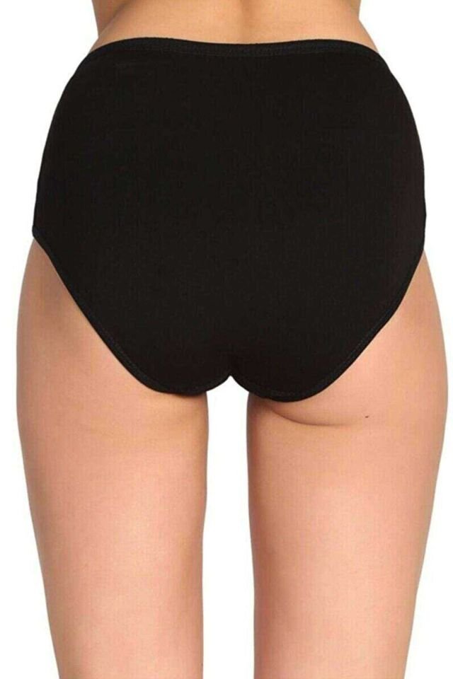 2 Adet Tutku Kadın Yüksek Bel Bato İnce Lastik Külot S2