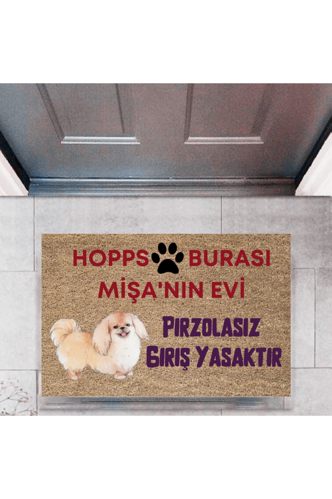 Kapı Önü Paspası Dekoratif Dijital Baskı Hopps  P-2474