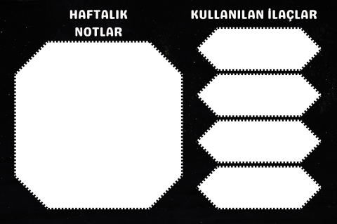 Diyabet Ölçüm Takip Çizelgesi Defteri A Kalite Özel Tasarım 3 Aylık A5 Siyah-Beyaz