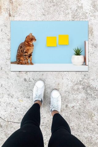 Dijital Baskı Mavi Sarman Kedi Desen Kapı Önü Paspası K-1029
